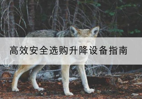 兴山升降货梯厂家推荐-*安全选购升降设备指南
