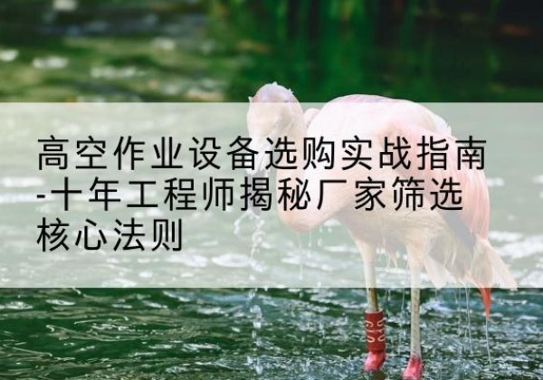 兴山剪叉式升降机厂家-高空作业设备选购实战指南-十年工程师揭秘厂家筛选核心法则